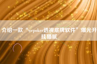 介绍一款“wepoker透视底牌软件”爆光开挂猫腻