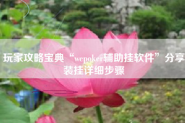 玩家攻略宝典“wepoker辅助挂软件	”分享装挂详细步骤