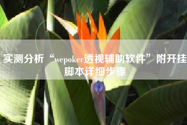 实测分析“wepoker透视辅助软件”附开挂脚本详细步骤