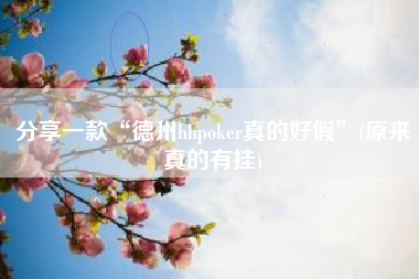 分享一款“德州hhpoker真的好假	”(原来真的有挂)