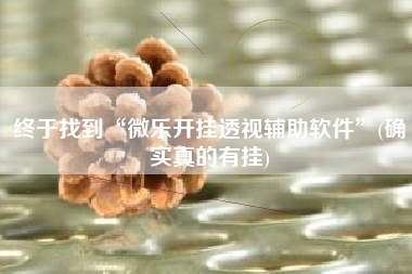 终于找到“微乐开挂透视辅助软件	”(确实真的有挂)