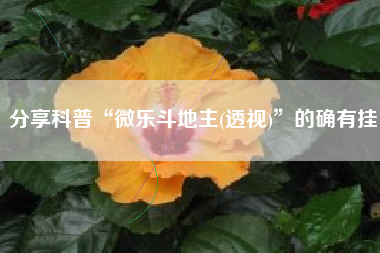 分享科普“微乐斗地主(透视)	”的确有挂