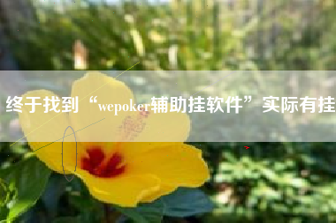 终于找到“wepoker辅助挂软件	”实际有挂