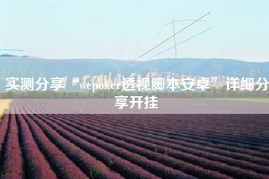 实测分享“wepoker透视脚本安卓”详细分享开挂
