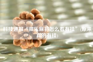 科技通报“微乐麻将怎么看有挂”(原来真的有挂)
