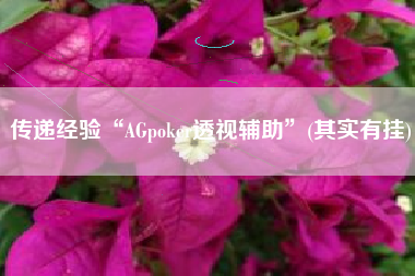 传递经验“AGpoker透视辅助”(其实有挂)