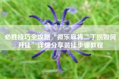 必胜技巧全攻略“微乐麻将二丁拐如何开挂”详细分享装挂步骤教程