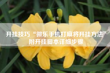 开挂技巧“微乐手机打麻将开挂方法”附开挂脚本详细步骤