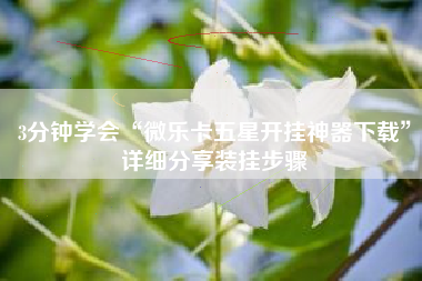 3分钟学会“微乐卡五星开挂神器下载	”详细分享装挂步骤