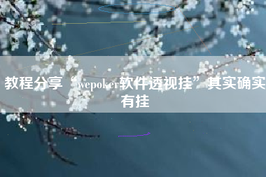 教程分享“wepoker软件透视挂	”其实确实有挂