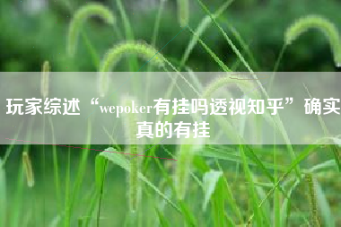 玩家综述“wepoker有挂吗透视知乎”确实真的有挂