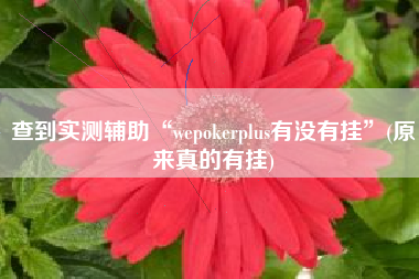 查到实测辅助“wepokerplus有没有挂”(原来真的有挂)