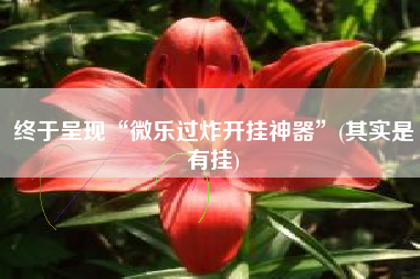 终于呈现“微乐过炸开挂神器”(其实是有挂)