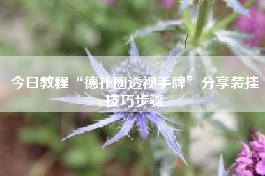 今日教程“德扑圈透视手牌	”分享装挂技巧步骤