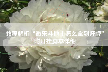 教程解析“微乐斗地主怎么拿到好牌”附开挂脚本详细