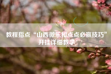教程指点“山西微乐扣点点必赢技巧”开挂详细教学