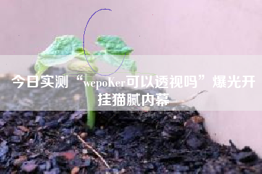 今日实测“wepoKer可以透视吗”爆光开挂猫腻内幕