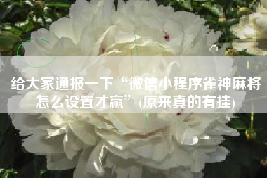 给大家通报一下“微信小程序雀神麻将怎么设置才赢”(原来真的有挂)