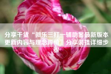 分享干货“微乐三打一辅助器最新版本更新内容与理念评价”分享装挂详细步骤