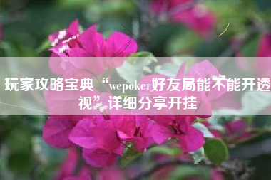 玩家攻略宝典“wepoker好友局能不能开透视”详细分享开挂