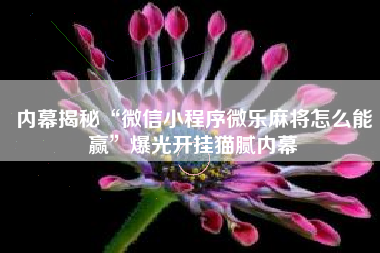 内幕揭秘“微信小程序微乐麻将怎么能赢”爆光开挂猫腻内幕