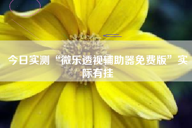 今日实测“微乐透视辅助器免费版”实际有挂