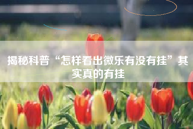 揭秘科普“怎样看出微乐有没有挂”其实真的有挂