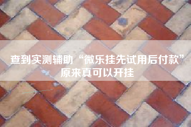 查到实测辅助“微乐挂先试用后付款	”原来真可以开挂