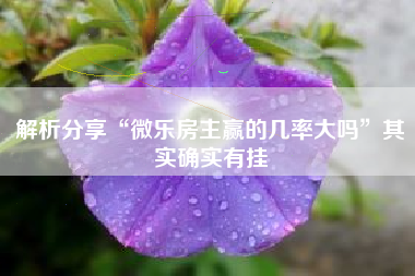 解析分享“微乐房主赢的几率大吗	”其实确实有挂