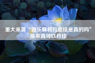 重大来袭“微乐麻将万能挂是真的吗”原来真可以开挂