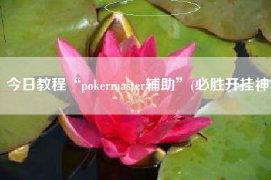 今日教程“pokermaster辅助	”(必胜开挂神
