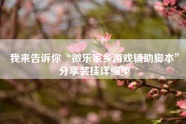 我来告诉你“微乐家乡游戏辅助脚本”分享装挂详细步