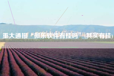 重大通报“微乐软件有挂吗	”(其实有挂)