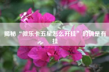 揭秘“微乐卡五星怎么开挂	”的确是有挂