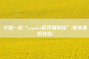 介绍一款“wepoker软件辅助挂	”(原来真的有挂)