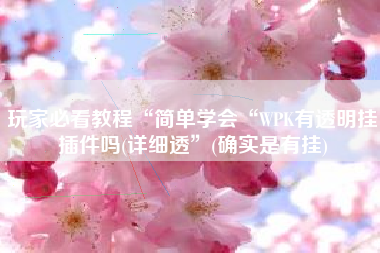 玩家必看教程“简单学会“WPK有透明挂插件吗(详细透”(确实是有挂)