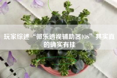 玩家综述“微乐透视辅助器IOS	”其实真的确实有挂