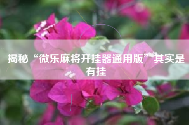 揭秘“微乐麻将开挂器通用版	”其实是有挂