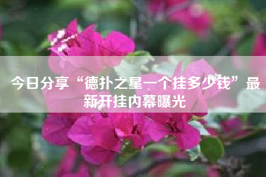 今日分享“德扑之星一个挂多少钱”最新开挂内幕曝光