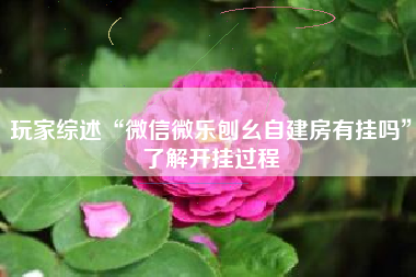 玩家综述“微信微乐刨幺自建房有挂吗”了解开挂过程