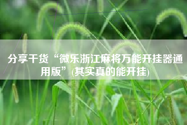 分享干货“微乐浙江麻将万能开挂器通用版	”(其实真的能开挂)