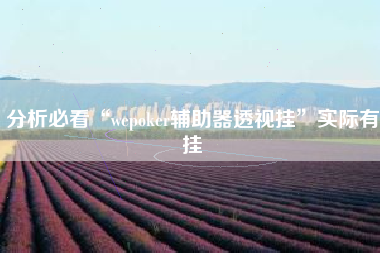 分析必看“wepoker辅助器透视挂”实际有挂