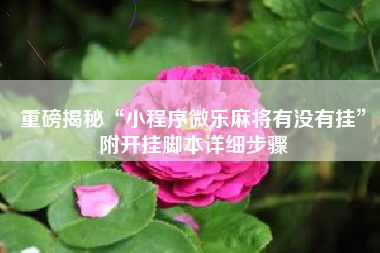 重磅揭秘“小程序微乐麻将有没有挂	”附开挂脚本详细步骤