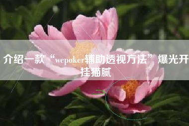 介绍一款“wepoker辅助透视方法”爆光开挂猫腻