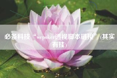 必备科技“wepoker透视脚本链接	”(其实有挂)