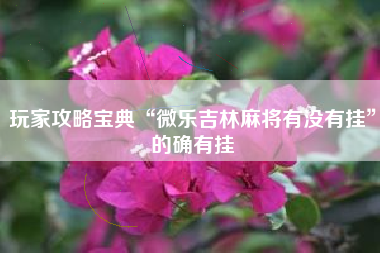 玩家攻略宝典“微乐吉林麻将有没有挂”的确有挂