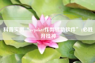 科普实测“wepoker作弊辅助软件”(必胜开挂神