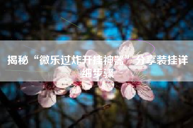 揭秘“微乐过炸开挂神器”分享装挂详细步骤