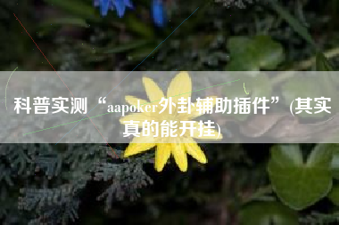 科普实测“aapoker外卦辅助插件”(其实真的能开挂)