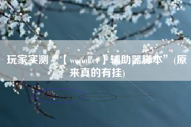 玩家实测“【wepoker】辅助器脚本	”(原来真的有挂)